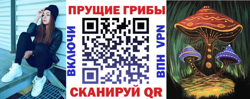 Купить где  Уяр  Псилоцибиновые грибы GOLDEN TEACHER 